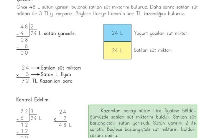 3. Sınıf Matematik Meb Yayınları Sayfa 234 Cevapları