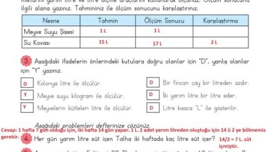 3. Sınıf Matematik Meb Yayınları Sayfa 235 Cevapları