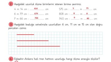 3. Sınıf Matematik Meb Yayınları Sayfa 236 Cevapları