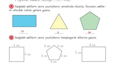 3. Sınıf Matematik Meb Yayınları Sayfa 237 Cevapları