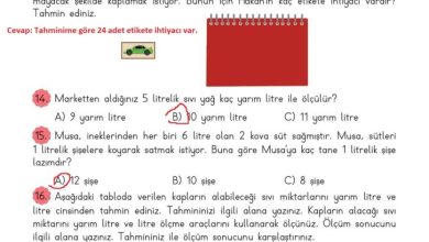 3. Sınıf Matematik Meb Yayınları Sayfa 238 Cevapları