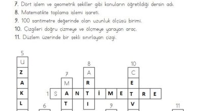 3. Sınıf Matematik Meb Yayınları Sayfa 239 Cevapları