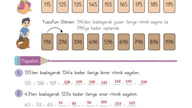 3. Sınıf Matematik Meb Yayınları Sayfa 24 Cevapları