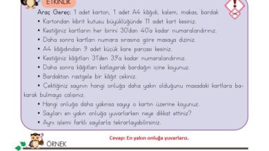 3. Sınıf Matematik Meb Yayınları Sayfa 25 Cevapları