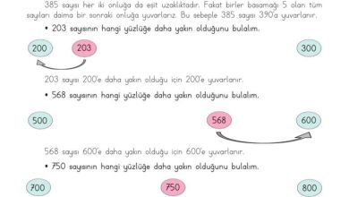 3. Sınıf Matematik Meb Yayınları Sayfa 26 Cevapları