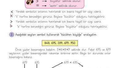 3. Sınıf Matematik Meb Yayınları Sayfa 29 Cevapları