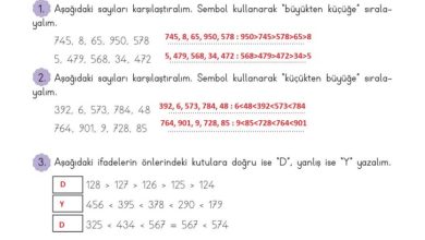 3. Sınıf Matematik Meb Yayınları Sayfa 30 Cevapları