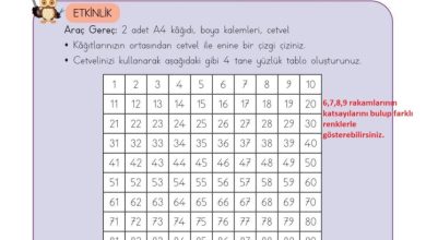 3. Sınıf Matematik Meb Yayınları Sayfa 31 Cevapları