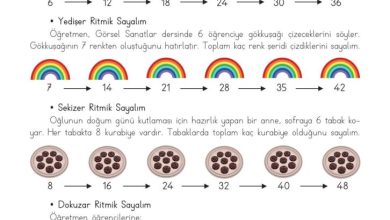 3. Sınıf Matematik Meb Yayınları Sayfa 32 Cevapları