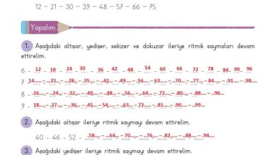 3. Sınıf Matematik Meb Yayınları Sayfa 33 Cevapları