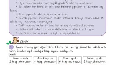 3. Sınıf Matematik Meb Yayınları Sayfa 34 Cevapları