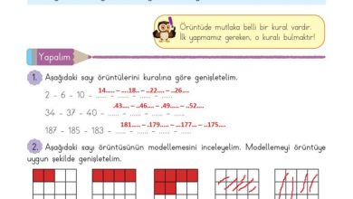 3. Sınıf Matematik Meb Yayınları Sayfa 35 Cevapları