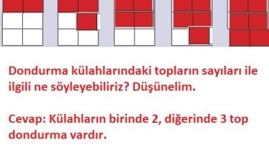 3. Sınıf Matematik Meb Yayınları Sayfa 36 Cevapları