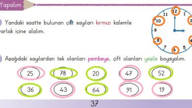 3. Sınıf Matematik Meb Yayınları Sayfa 37 Cevapları