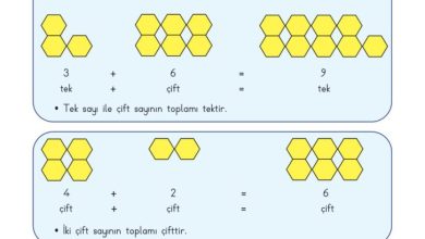 3. Sınıf Matematik Meb Yayınları Sayfa 39 Cevapları