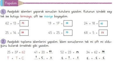 3. Sınıf Matematik Meb Yayınları Sayfa 40 Cevapları