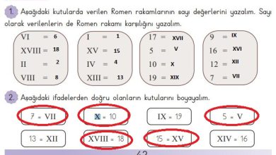 3. Sınıf Matematik Meb Yayınları Sayfa 42 Cevapları