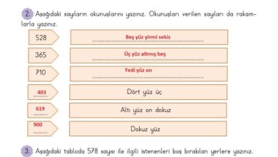 3. Sınıf Matematik Meb Yayınları Sayfa 43 Cevapları