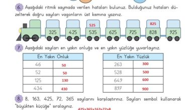 3. Sınıf Matematik Meb Yayınları Sayfa 44 Cevapları