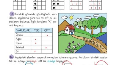 3. Sınıf Matematik Meb Yayınları Sayfa 45 Cevapları