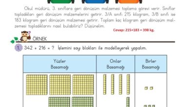 3. Sınıf Matematik Meb Yayınları Sayfa 46 Cevapları