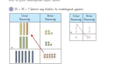 3. Sınıf Matematik Meb Yayınları Sayfa 47 Cevapları