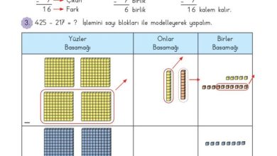 3. Sınıf Matematik Meb Yayınları Sayfa 52 Cevapları