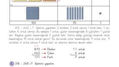 3. Sınıf Matematik Meb Yayınları Sayfa 53 Cevapları