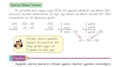 3. Sınıf Matematik Meb Yayınları Sayfa 55 Cevapları