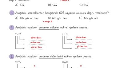 3. Sınıf Matematik Meb Yayınları Sayfa 57 Cevapları