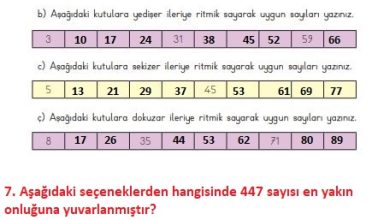 3. Sınıf Matematik Meb Yayınları Sayfa 58 Cevapları