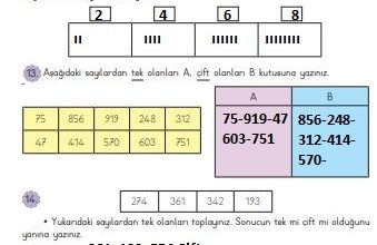 3. Sınıf Matematik Meb Yayınları Sayfa 59 Cevapları