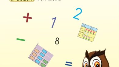 3. Sınıf Matematik Meb Yayınları Sayfa 63 Cevapları