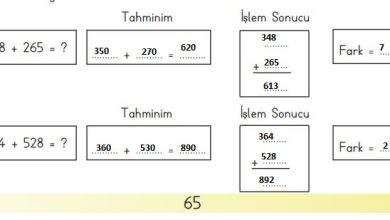 3. Sınıf Matematik Meb Yayınları Sayfa 65 Cevapları