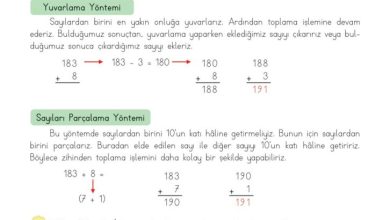 3. Sınıf Matematik Meb Yayınları Sayfa 67 Cevapları