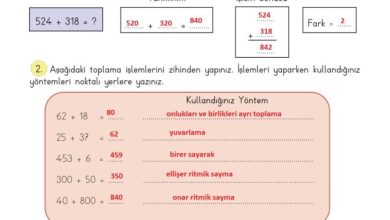 3. Sınıf Matematik Meb Yayınları Sayfa 74 Cevapları