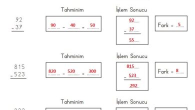 3. Sınıf Matematik Meb Yayınları Sayfa 77 Cevapları