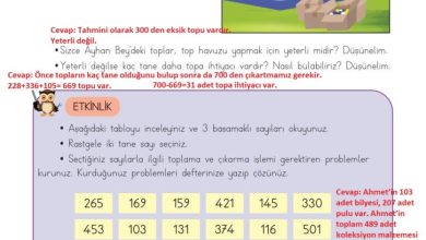 3. Sınıf Matematik Meb Yayınları Sayfa 78 Cevapları