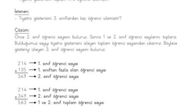 3. Sınıf Matematik Meb Yayınları Sayfa 79 Cevapları