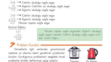 3. Sınıf Matematik Meb Yayınları Sayfa 80 Cevapları