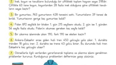 3. Sınıf Matematik Meb Yayınları Sayfa 81 Cevapları