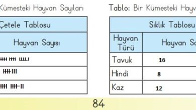 3. Sınıf Matematik Meb Yayınları Sayfa 84 Cevapları