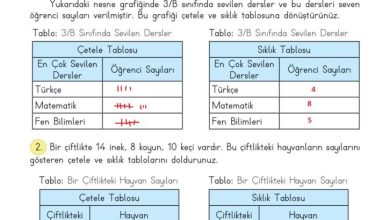 3. Sınıf Matematik Meb Yayınları Sayfa 90 Cevapları