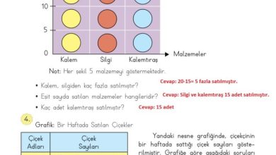 3. Sınıf Matematik Meb Yayınları Sayfa 91 Cevapları