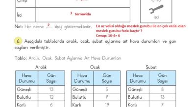 3. Sınıf Matematik Meb Yayınları Sayfa 92 Cevapları