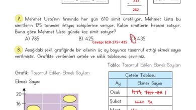 3. Sınıf Matematik Meb Yayınları Sayfa 94 Cevapları