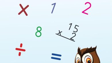 3. Sınıf Matematik Meb Yayınları Sayfa 97 Cevapları