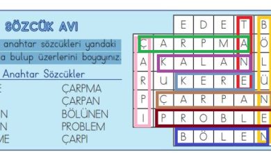 3. Sınıf Matematik Meb Yayınları Sayfa 98 Cevapları