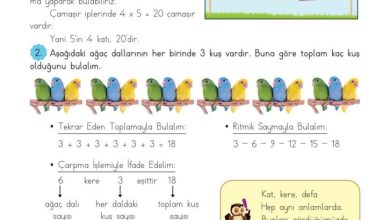 3. Sınıf Matematik Meb Yayınları Sayfa 99 Cevapları