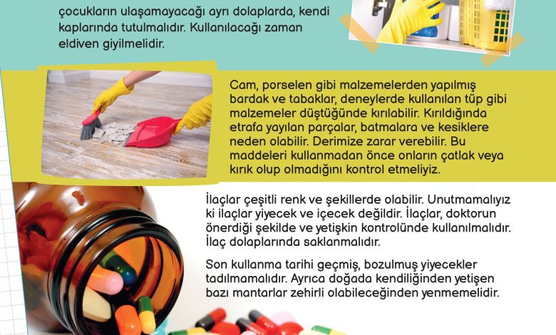 3. Sınıf Meb Yayınları Fen Bilimleri Ders Kitabı Sayfa 101 Cevapları